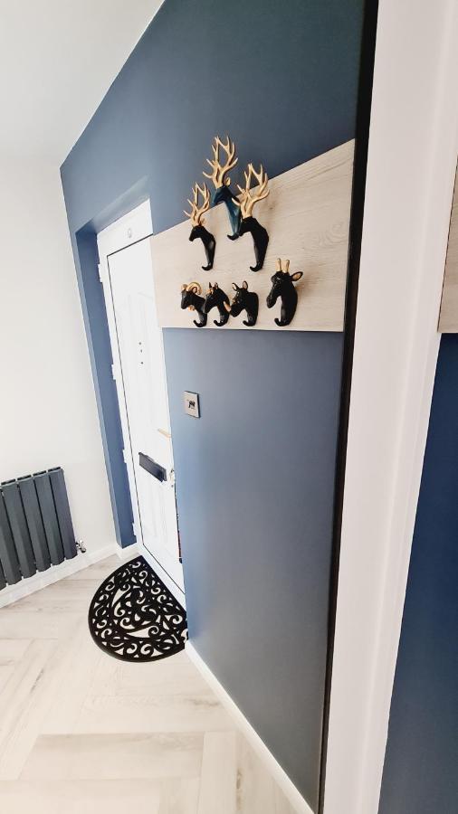 Appartement Beautiful 2Bed House With Garden, Walking Distance To Town - Free Parking à Glasgow Extérieur photo